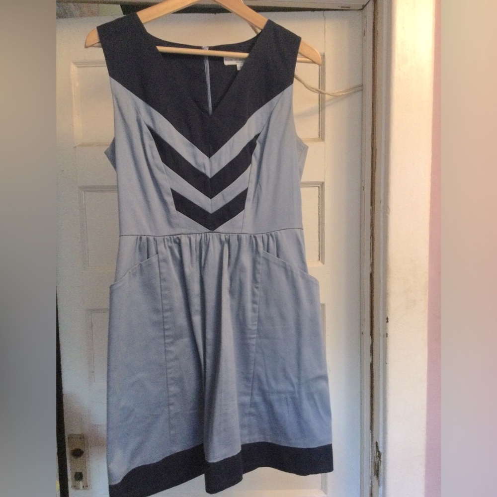 Retro Blue Cotton Birds of North America dress